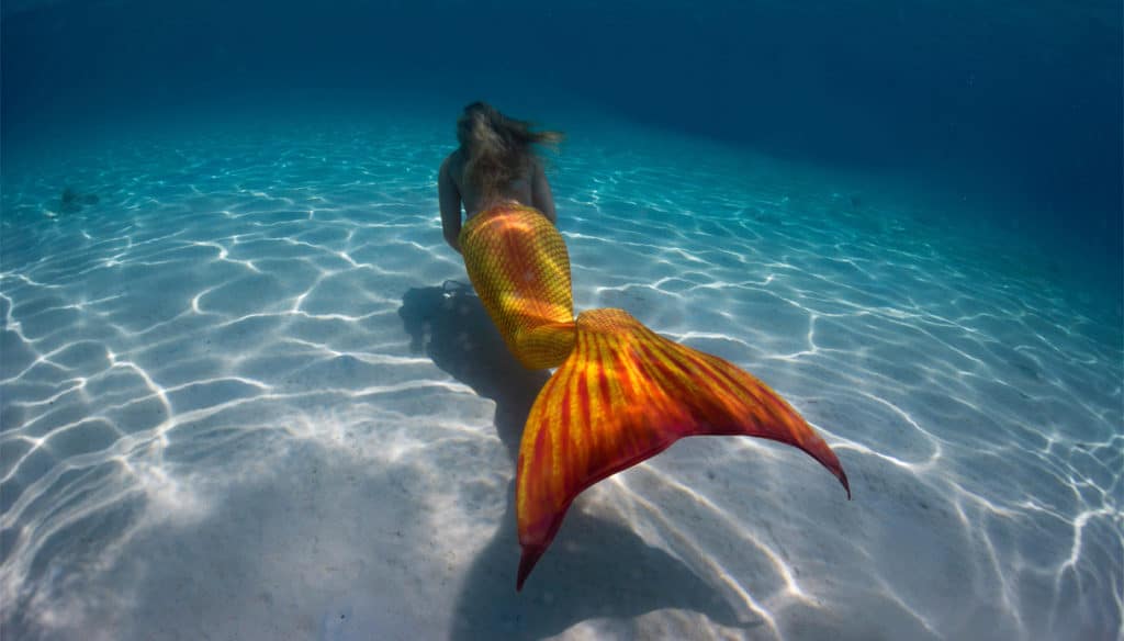 Il mito delle Sirene Appunti di Storia